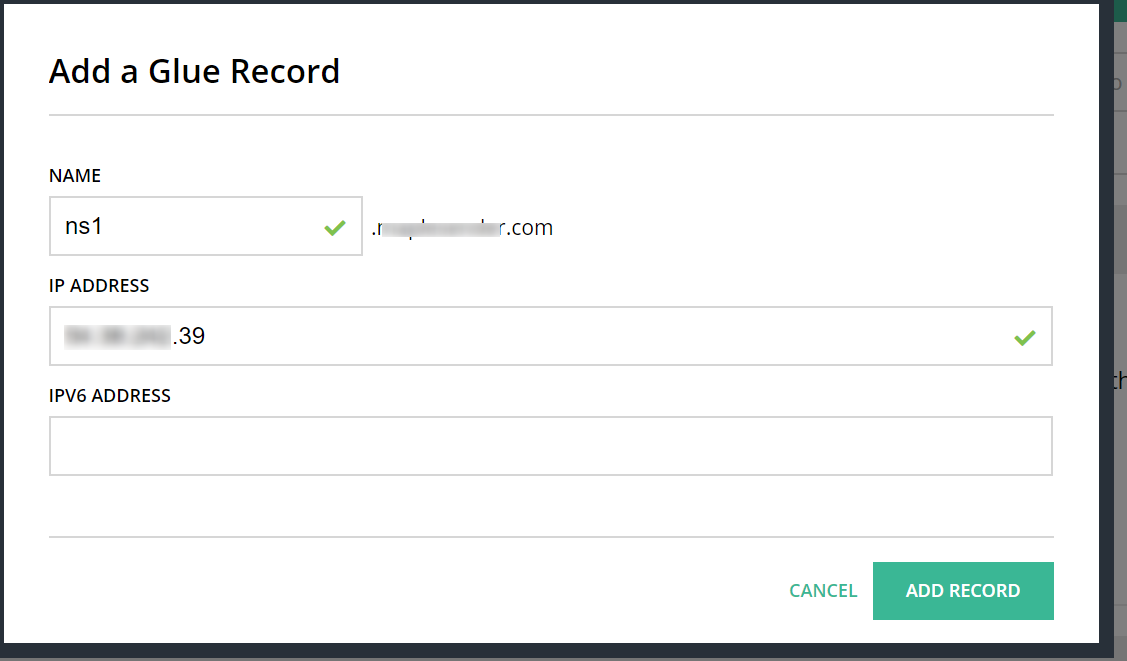 NS1 Glue Record