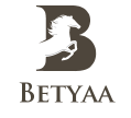 BulkeEmailSetup.com-Betyaa Logo