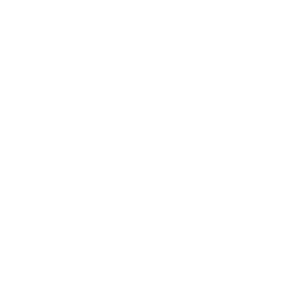 rupee icon